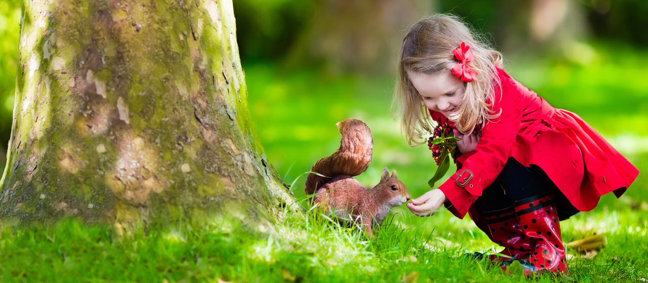 kleines Mädchen in rotem Kleid füttert ein Eichhörnchen im Wald
